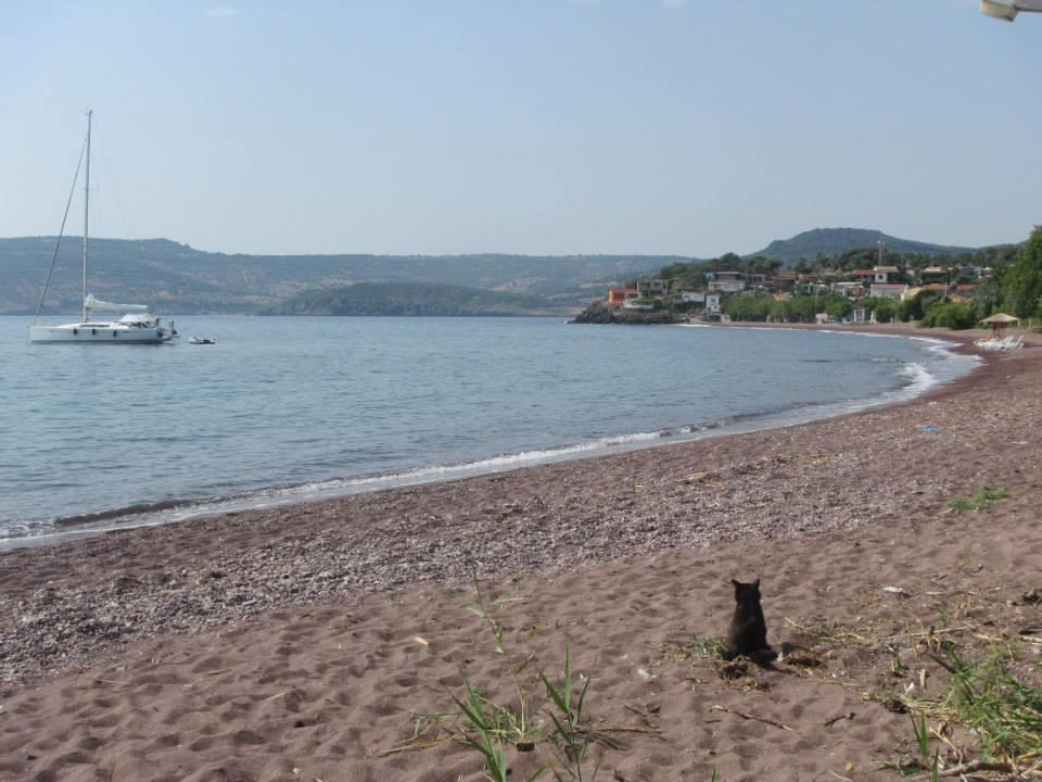 Eleni Limani Kapis